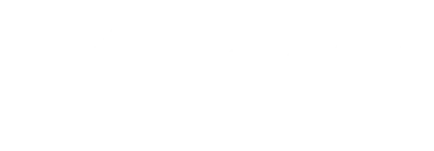 fliocars.com