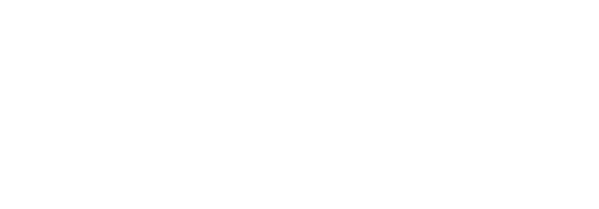 fliocars.com